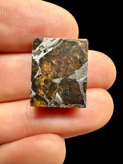 Meteorit Pallasit Pallasovka – Rusko