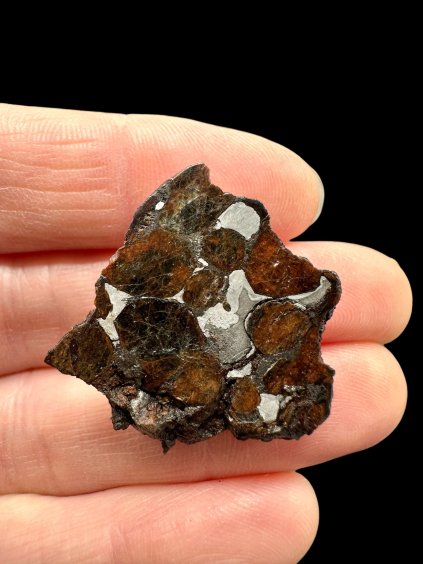 Meteorit Seymchan 10,7g / koncový řez – Magadan, Rusko