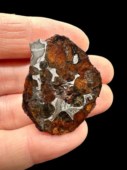 Meteorit Seymchan 14,4g / Endschnitt – Magadan, Russland