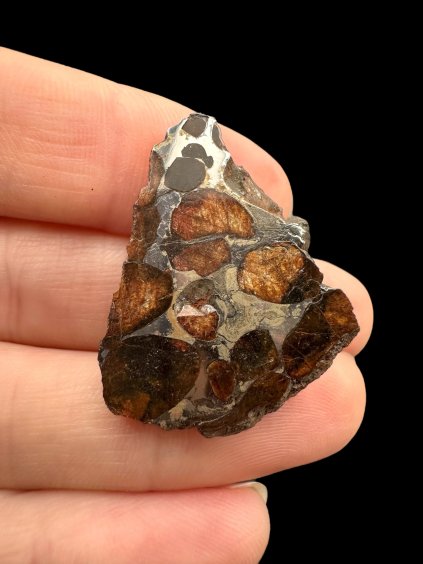 Photoroom 006 20250616 164345