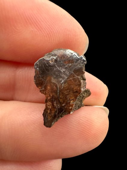 Photoroom 010 20250616 164345