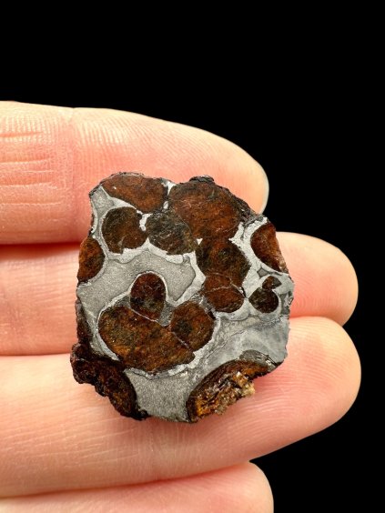 Meteorit Seymchan 8,4g / Endschnitt – Magadan, Russland