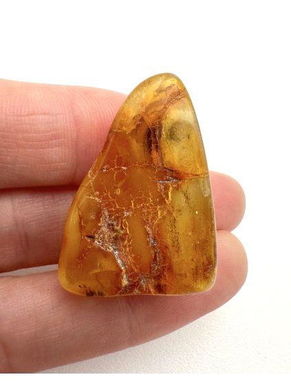 Amber 3,8g – Gdańsk, Poland