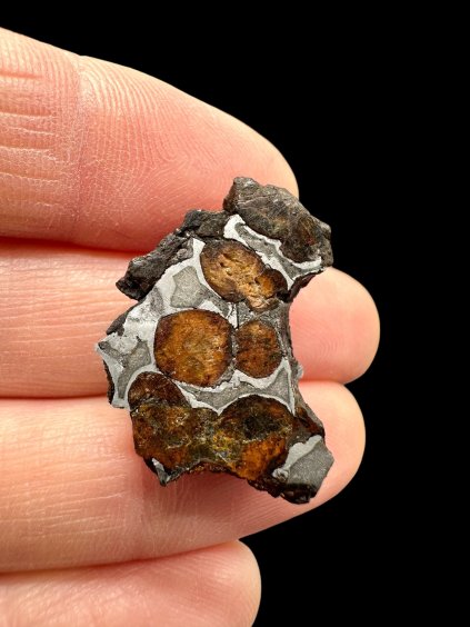 Meteorit Seymchan 5,6g / koncový řez – Magadan, Rusko