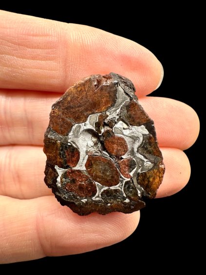 Photoroom 20260127 171236