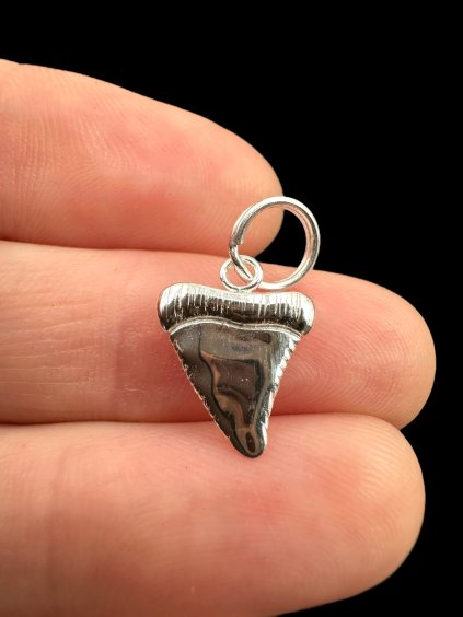 Photoroom 011 20250627 163220