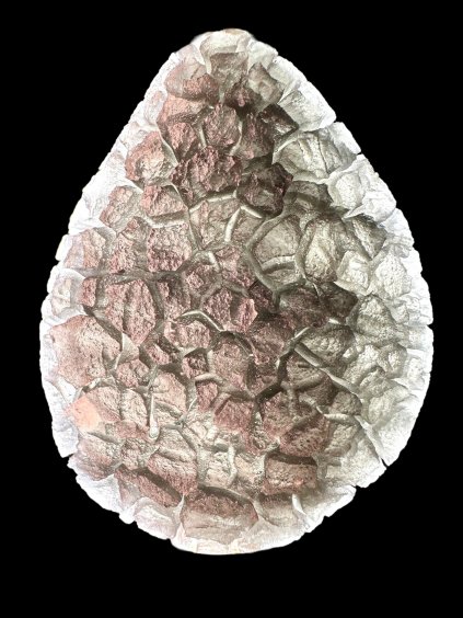 Karpatischer Obsidian 54,7g (Igel) – Slowakei