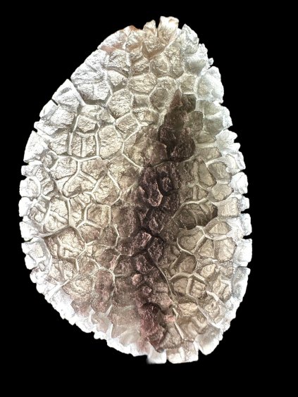 Slovenský obsidián – ježek – 29,5g