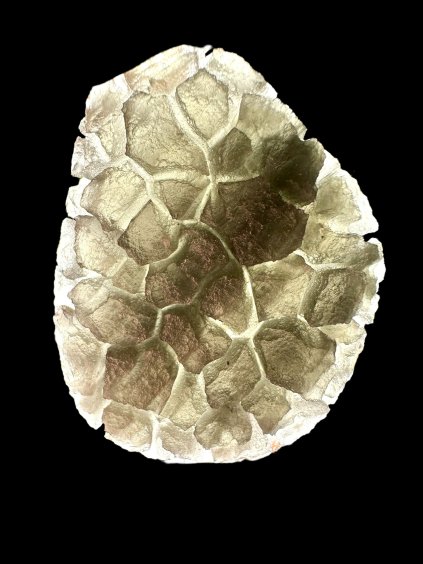 Carpathian obsidian 16,4g (Hedgehog) – Slovakia