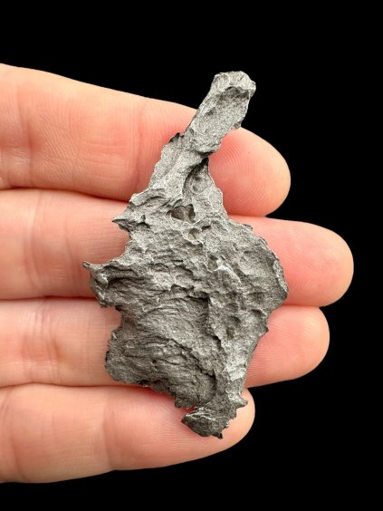 Photoroom 004 20250703 190022