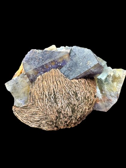 Photoroom 20250707 131623