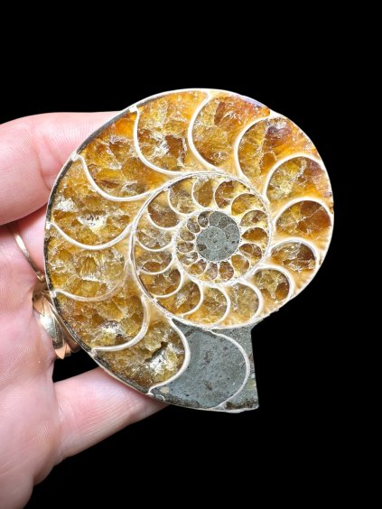 Photoroom 006 20250706 131907