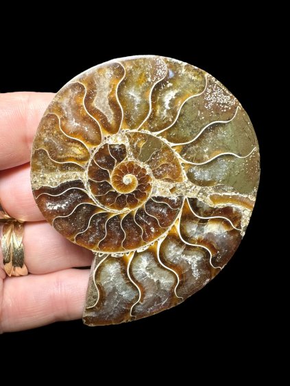 Photoroom 008 20250706 131907