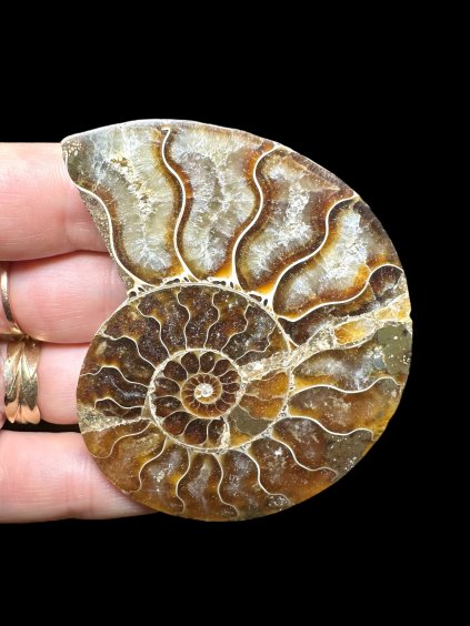 Photoroom 010 20250706 131907