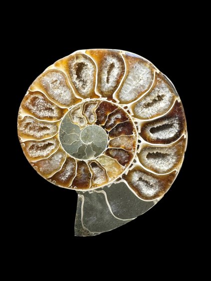 Photoroom 008 20250706 174944