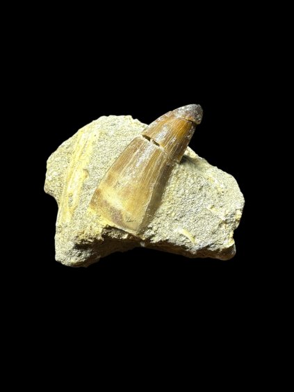 Photoroom 005 20250706 123815