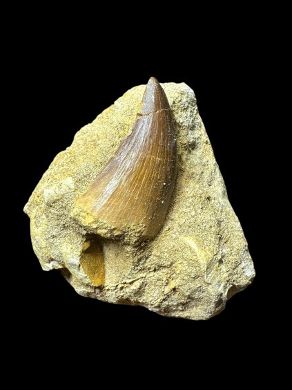 Photoroom 010 20250706 123815