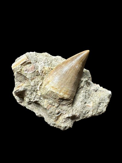 Photoroom 015 20250706 123815