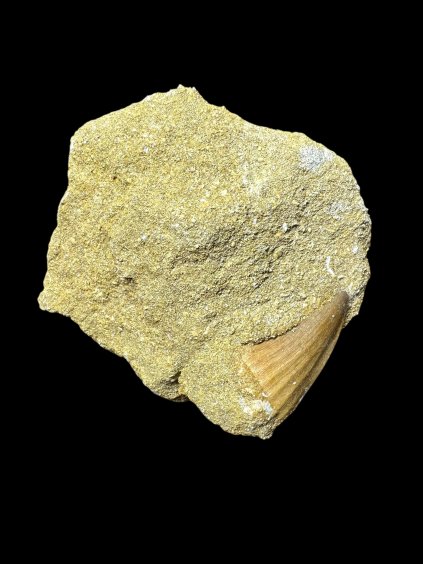 Photoroom 020 20250706 123815