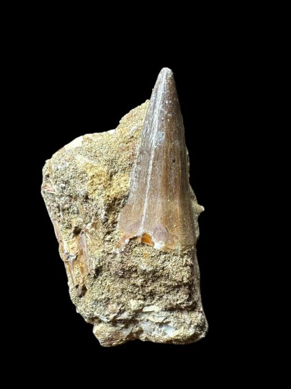 Photoroom 024 20250706 123815