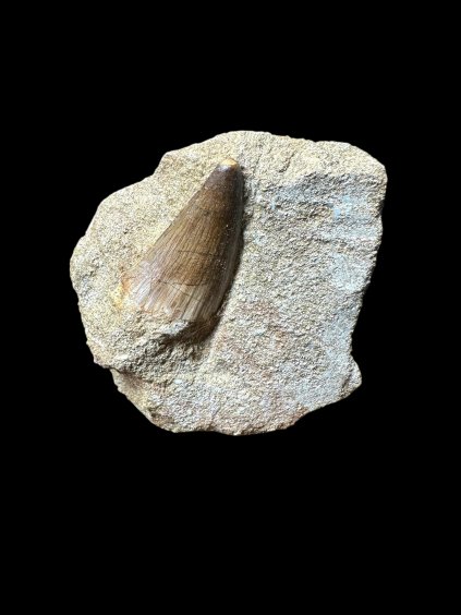 Photoroom 017 20250706 134325