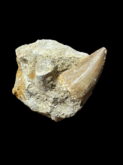 Photoroom 030 20250706 134325