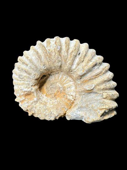 Photoroom 004 20250706 185415