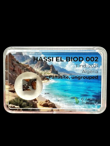 Photoroom 20260202 134949