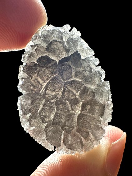 Carpathian obsidian 8,8g (Hedgehog) – Slovakia