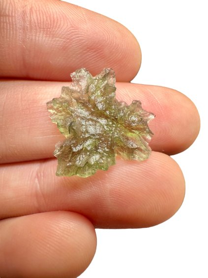 Vltavín – Besednice Ježkovna – 0,9g