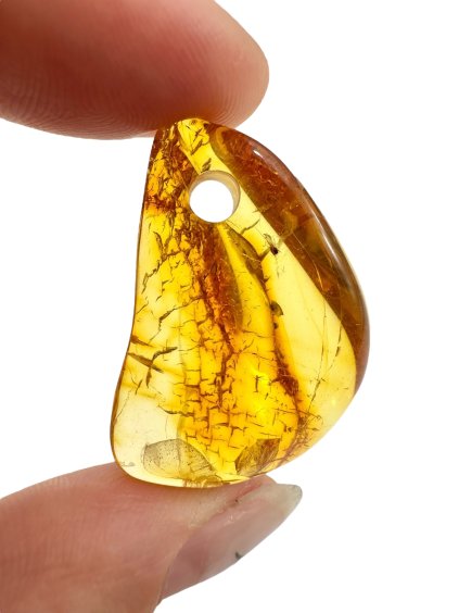 Photoroom 000 20250716 174452