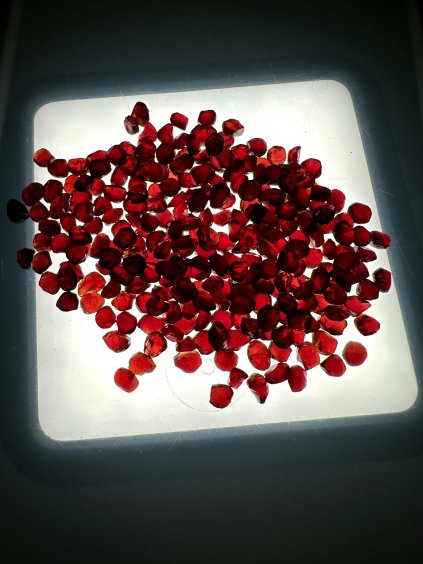 Český granát 10g, 3-4mm – České Středohoří, ČR