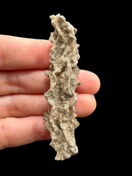 Photoroom 007 20250724 102318