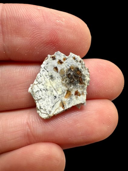 Meteorite Timimoun 003 – 1g – Algeria