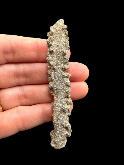 Photoroom 016 20250724 193923