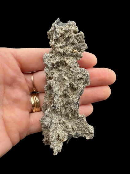 Photoroom 016 20250726 132328