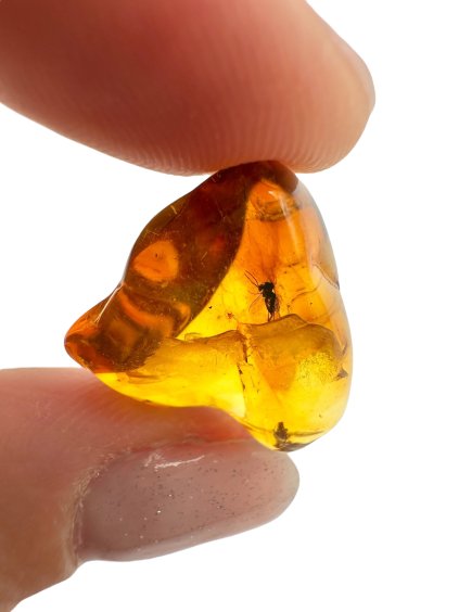 Photoroom 004 20250726 132656