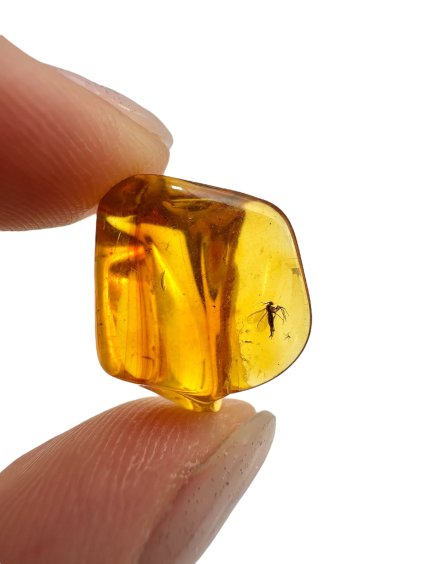 Photoroom 017 20250726 132656