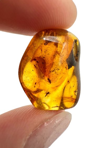 Photoroom 029 20250727 100855