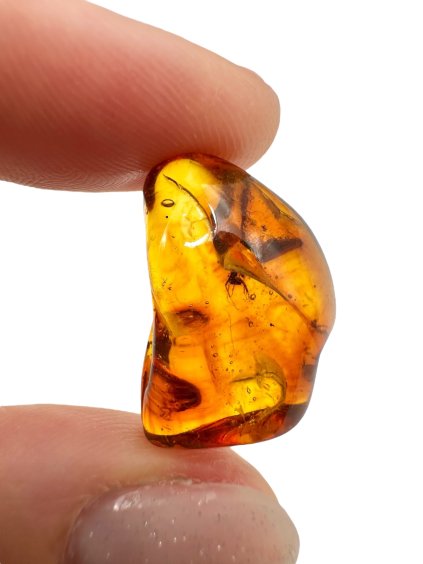 Photoroom 033 20250727 100855