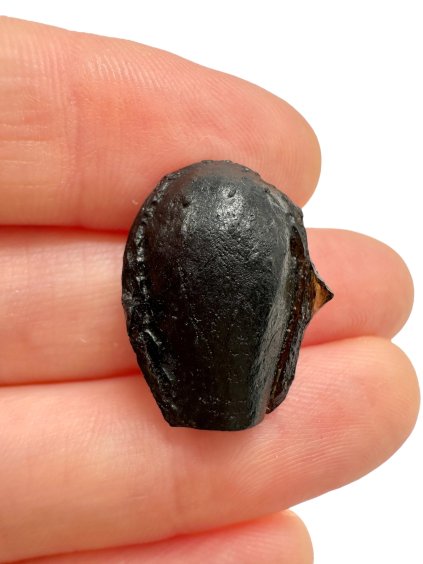 Photoroom 010 20250802 170455