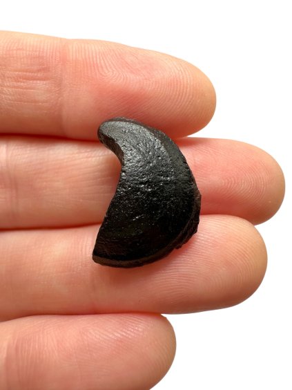 Photoroom 006 20250803 121534