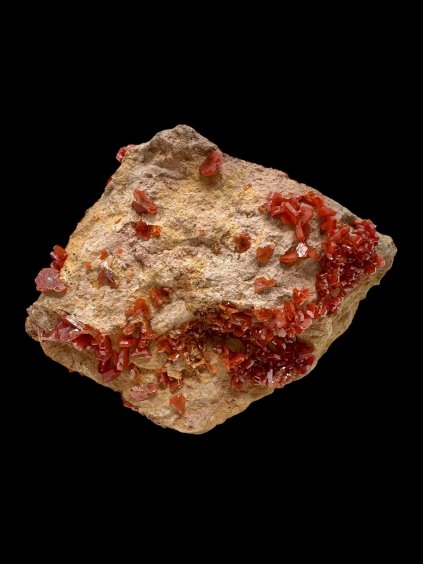 Photoroom 008 20251005 152012