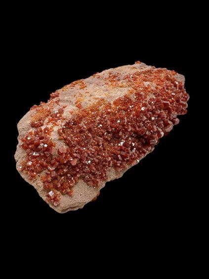 Photoroom 017 20251005 152012