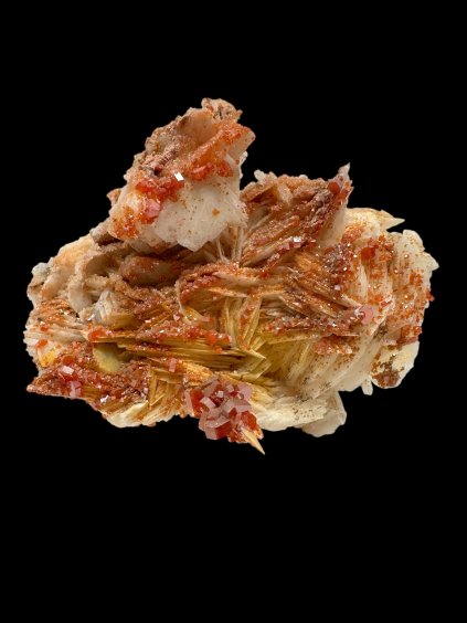 Photoroom 000 20251005 152012