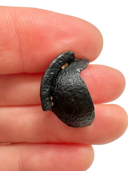 Photoroom 000 20250808 124949