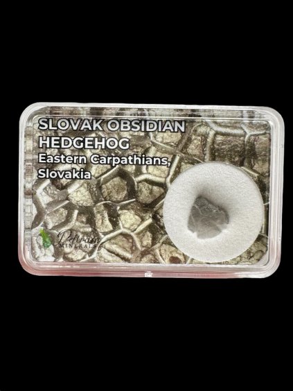 Photoroom 005 20250817 150113