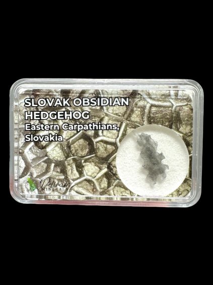 Photoroom 002 20250817 180755