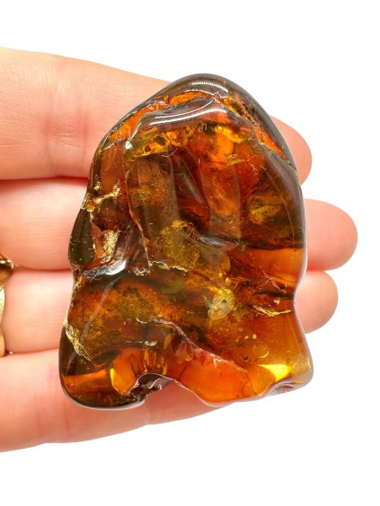 Photoroom 005 20250824 120455