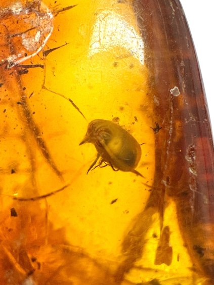 Photoroom 009 20251012 144954